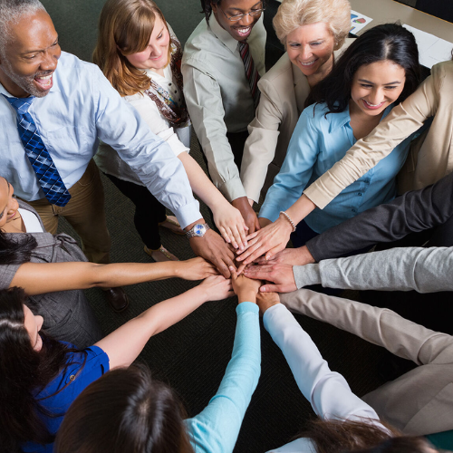 Viriksha Hr Solution