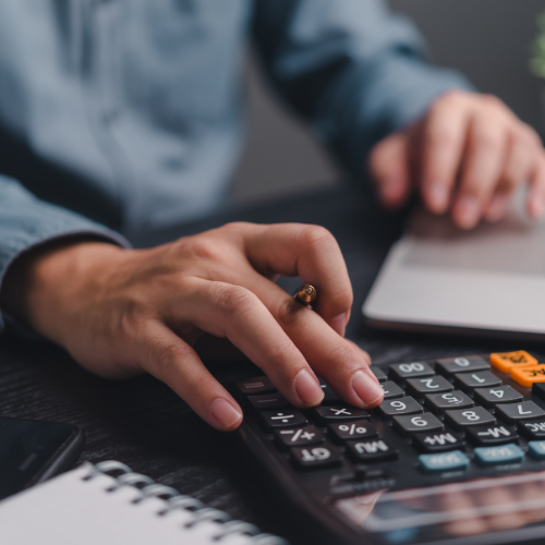 Viriksha Customized Payroll management services