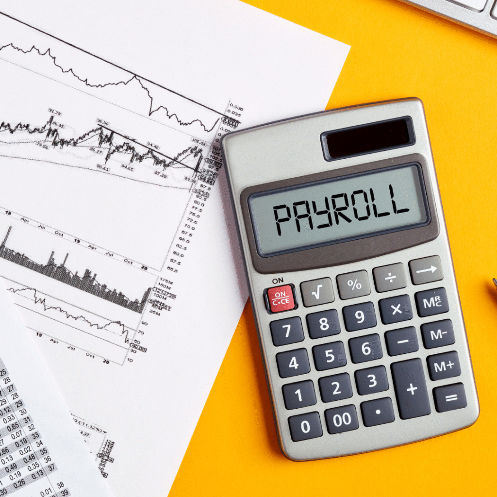 Payroll Audit Services